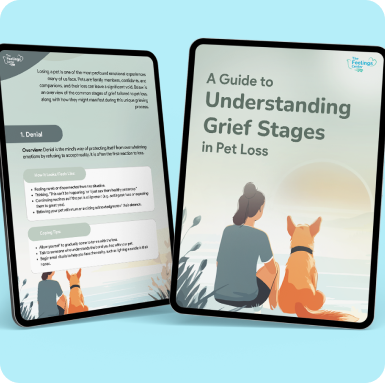 understanding-grief-stages